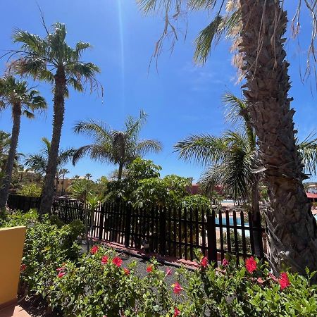 My Pretty Home - Lovely And Spacious Surrounded By Tropical Gardens - Private Covered And Uncovered Terrace - Pool - Parking - Free Fibre Optic Internet Коралео Екстериор снимка