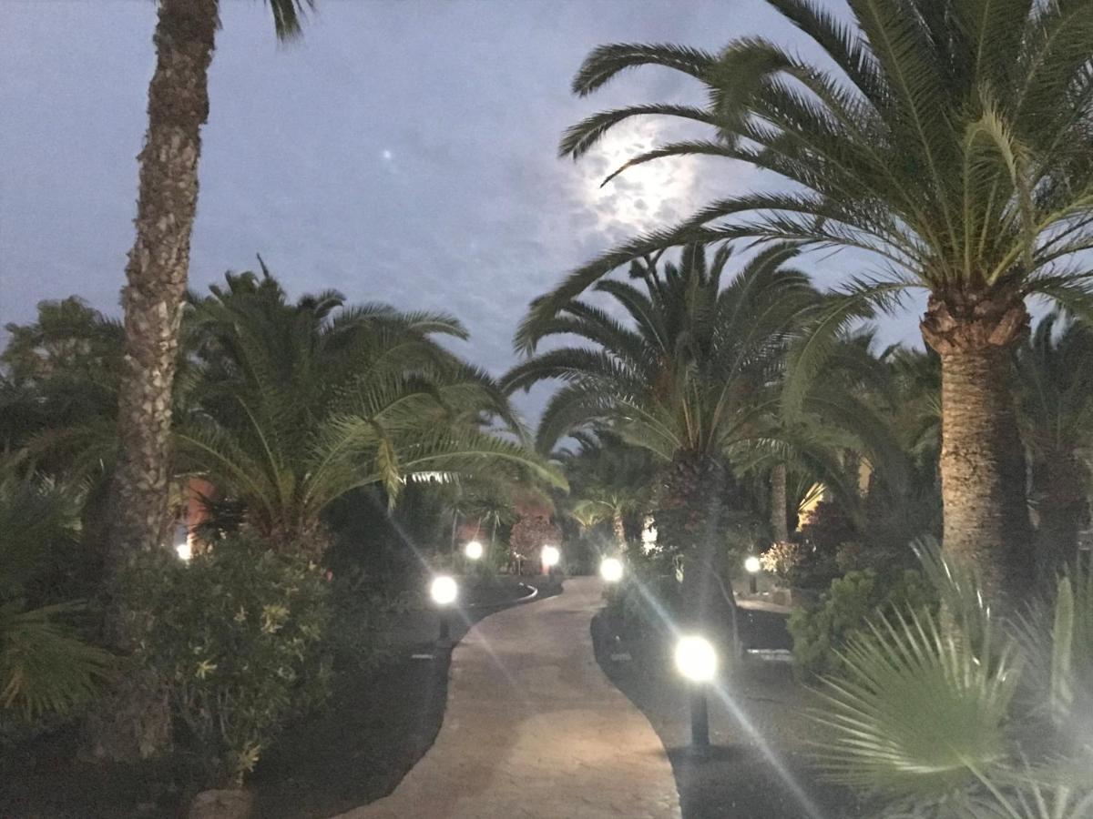 My Pretty Home - Lovely And Spacious Surrounded By Tropical Gardens - Private Covered And Uncovered Terrace - Pool - Parking - Free Fibre Optic Internet Коралео Екстериор снимка