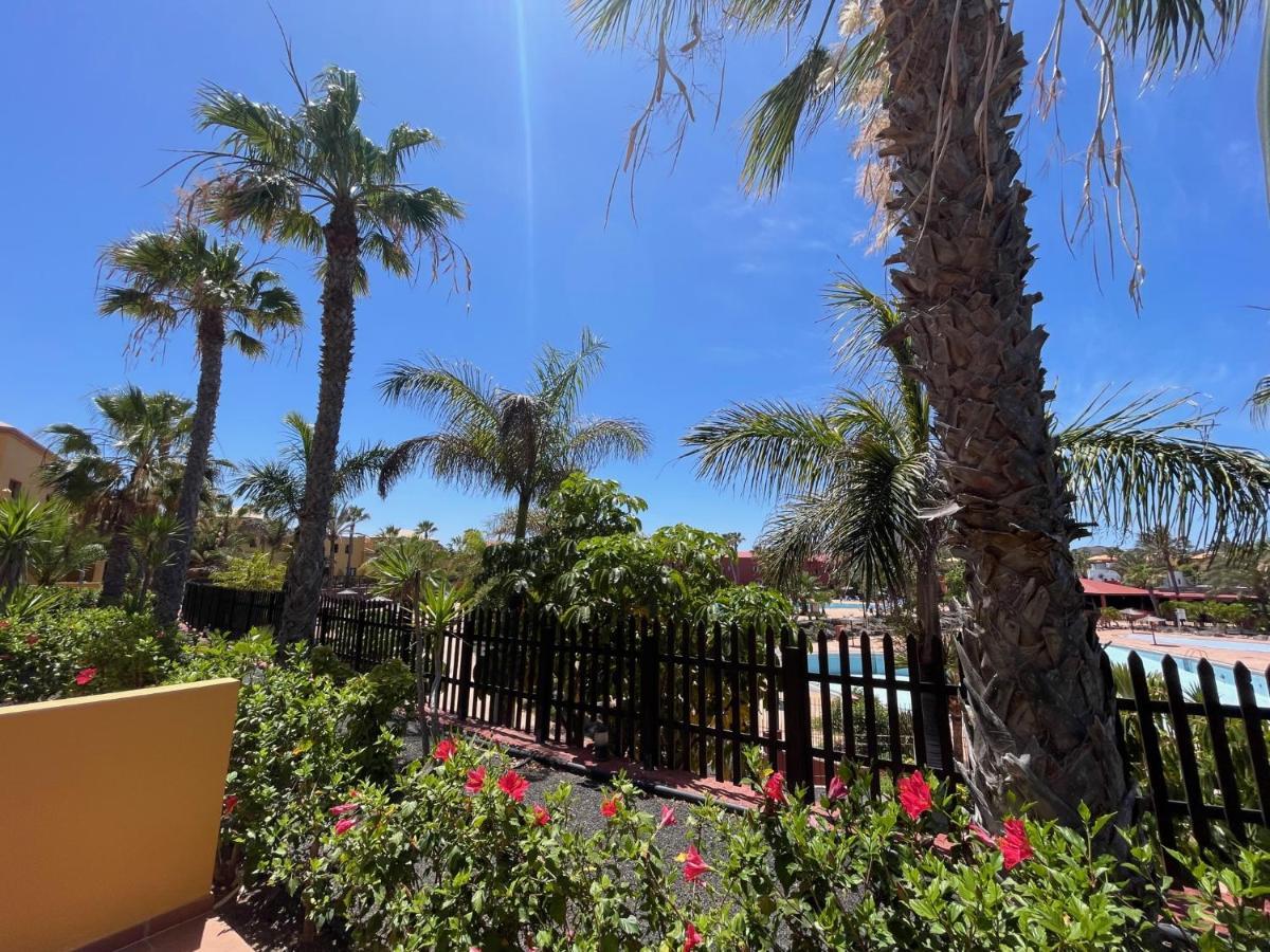 My Pretty Home - Lovely And Spacious Surrounded By Tropical Gardens - Private Covered And Uncovered Terrace - Pool - Parking - Free Fibre Optic Internet Коралео Екстериор снимка