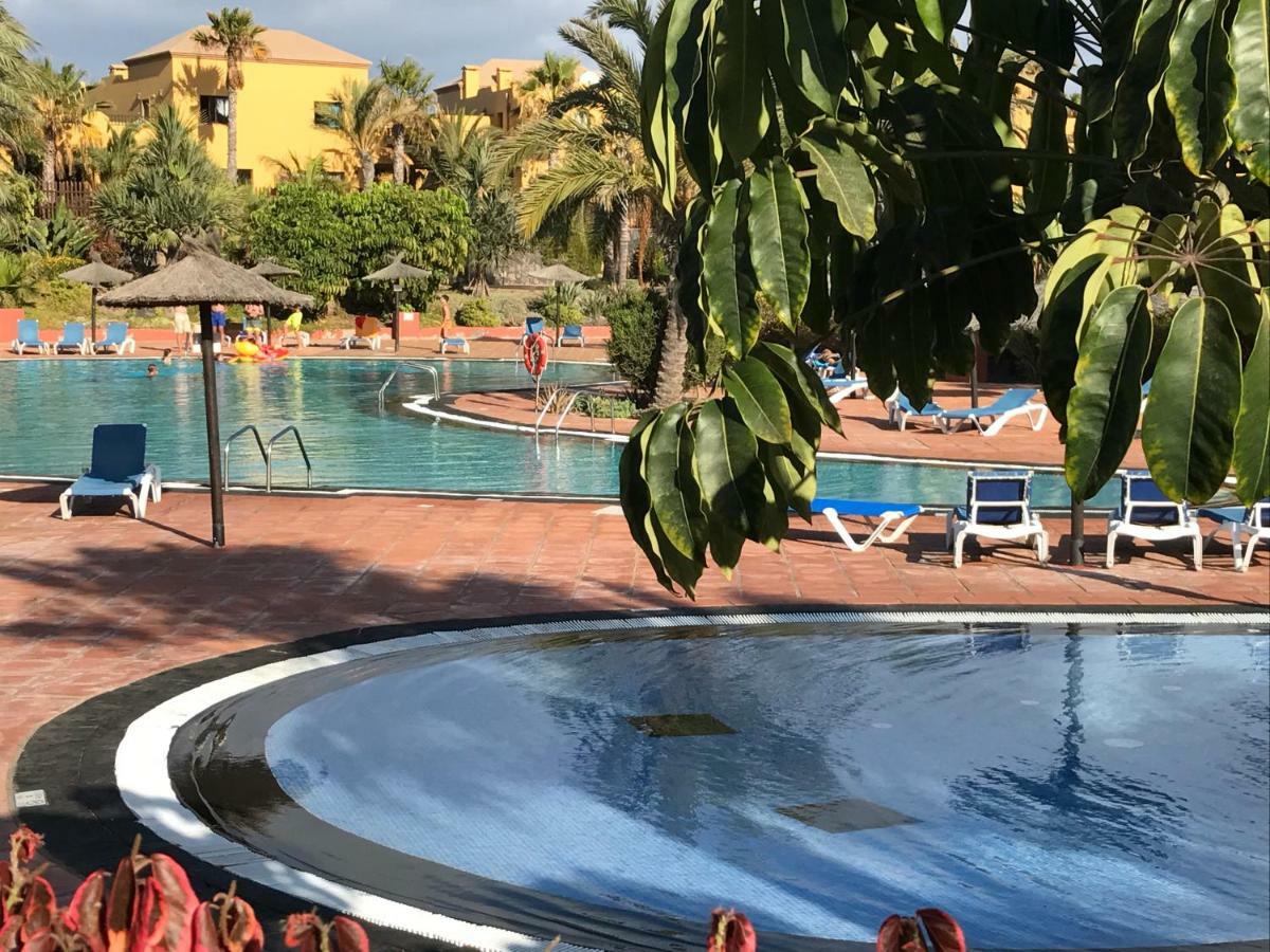 My Pretty Home - Lovely And Spacious Surrounded By Tropical Gardens - Private Covered And Uncovered Terrace - Pool - Parking - Free Fibre Optic Internet Коралео Екстериор снимка
