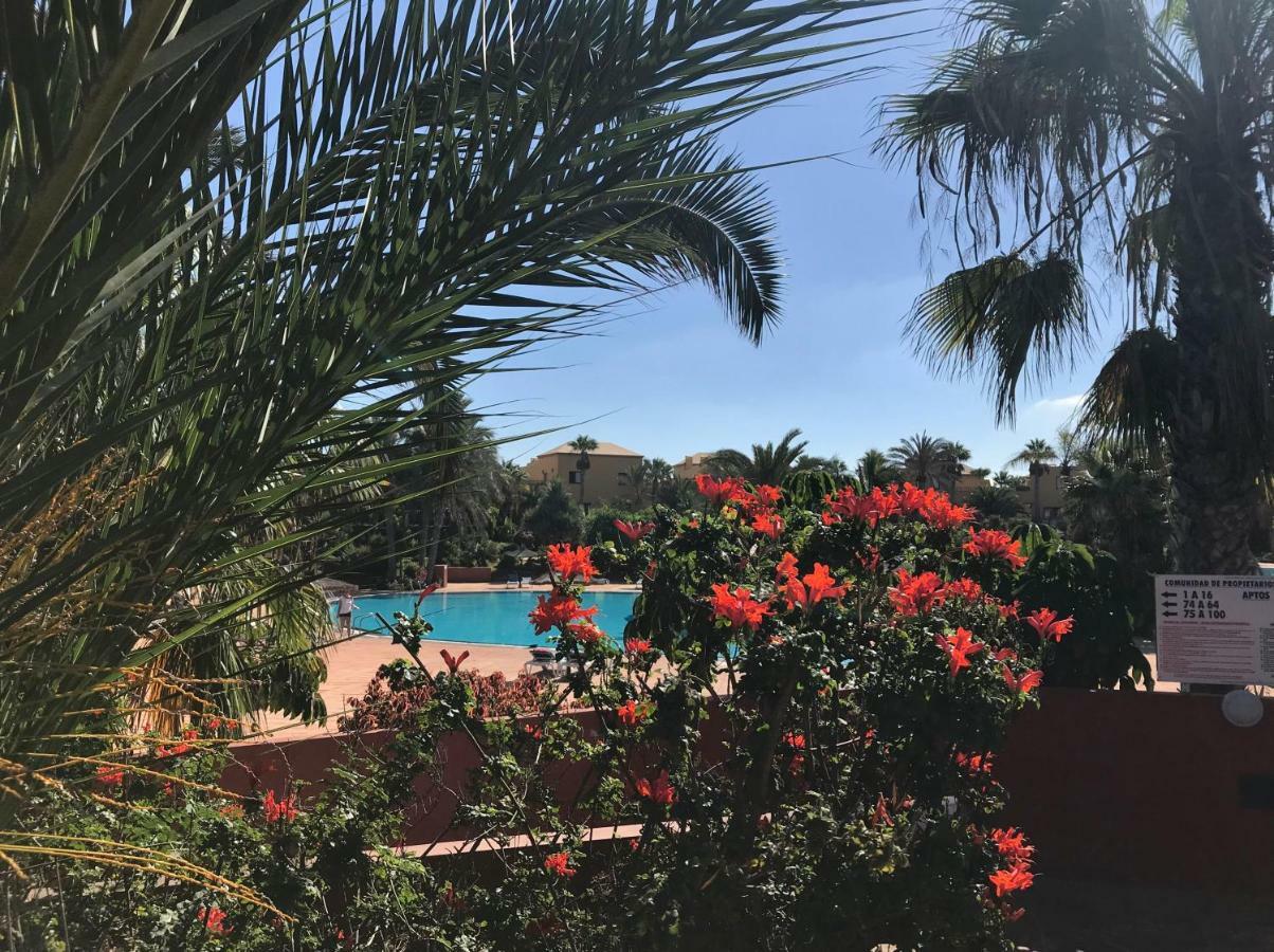 My Pretty Home - Lovely And Spacious Surrounded By Tropical Gardens - Private Covered And Uncovered Terrace - Pool - Parking - Free Fibre Optic Internet Коралео Екстериор снимка